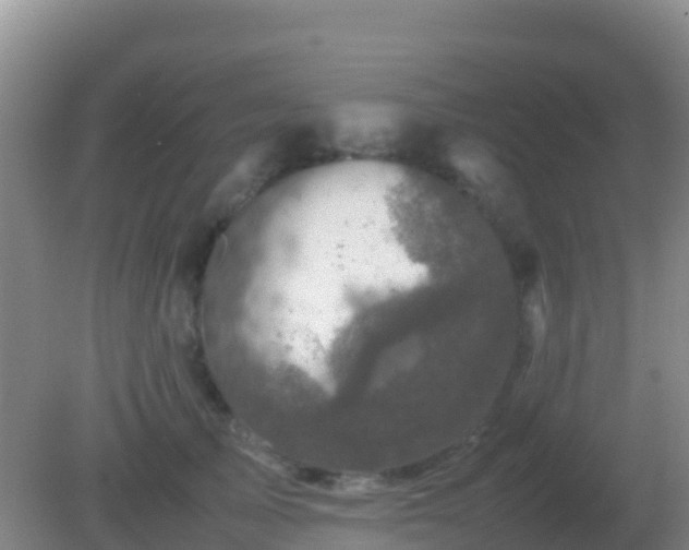 X0000082170705200701270000