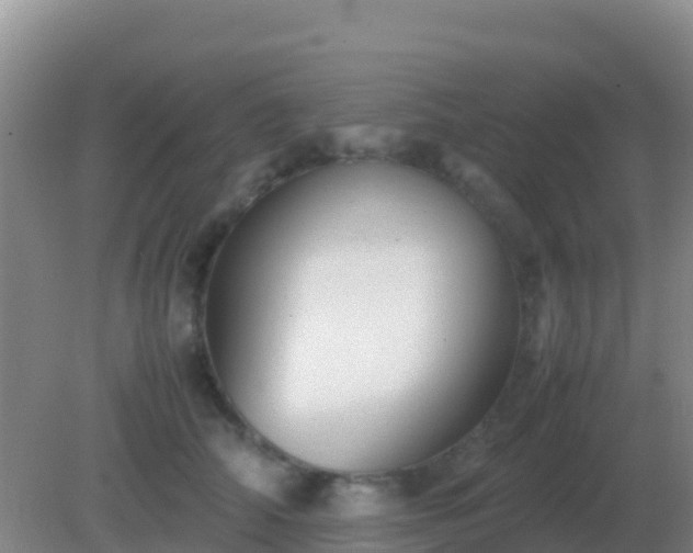 X0000082170706200701270000