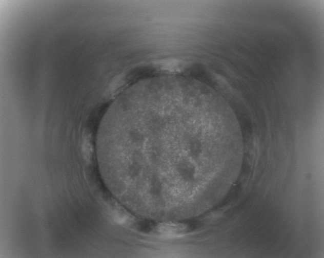 X0000082170707200701270000