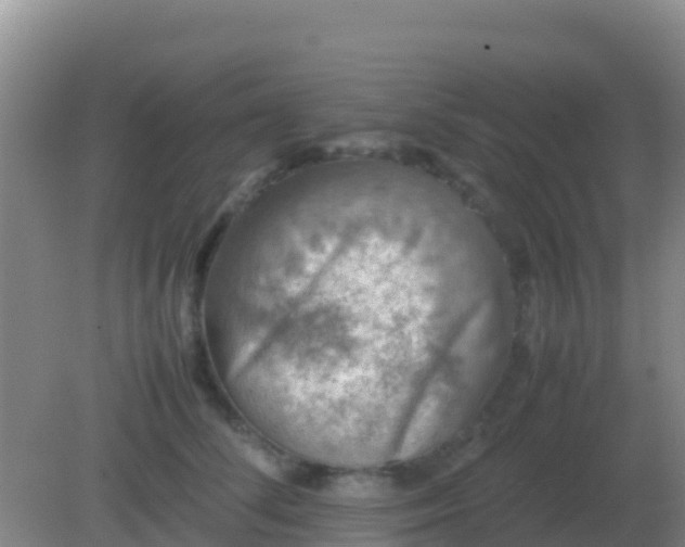 X0000082170708200701270000