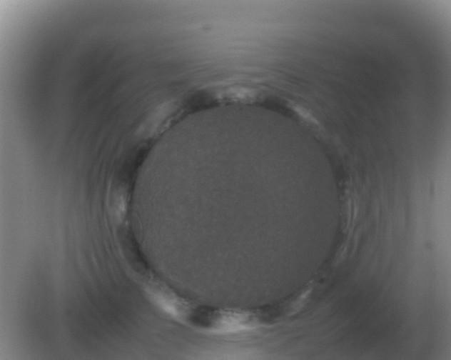 X0000082170709200701270000