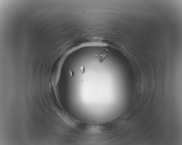 X0000082170710200701270000