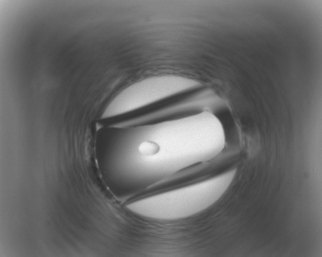 X0000082170712200701270000