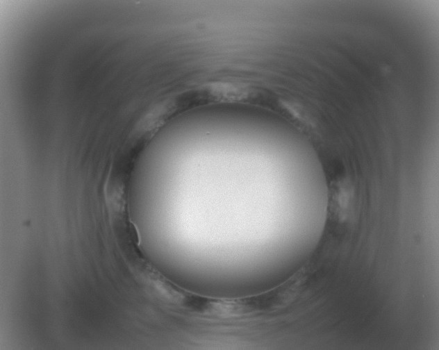 X0000082170713200701270000