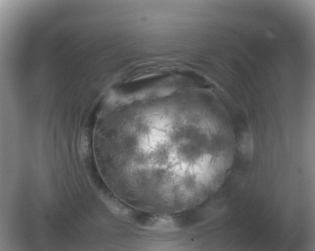 X0000082170715200701270000