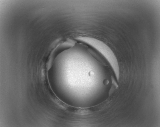 X0000082170716200701270000