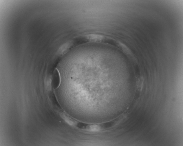 X0000082170717200701270000