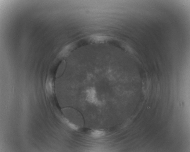 X0000082170718200701270000