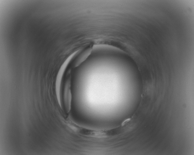 X0000082170719200701270000