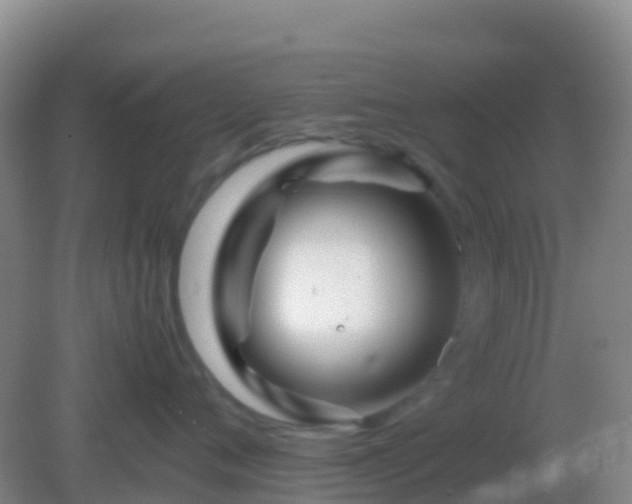 X0000082170720200701270000