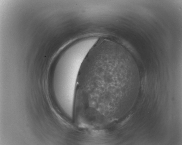 X0000082170722200701262359