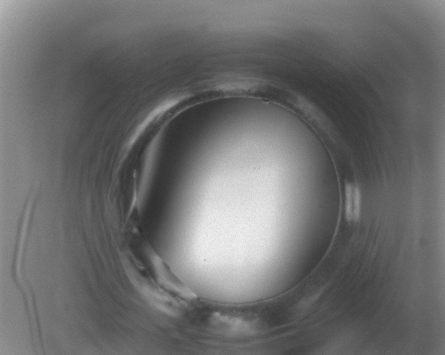 X0000082170723200701262359