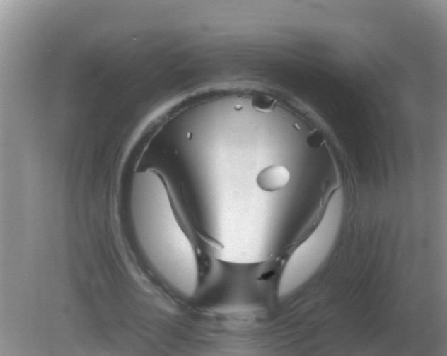 X0000082170724200701262359