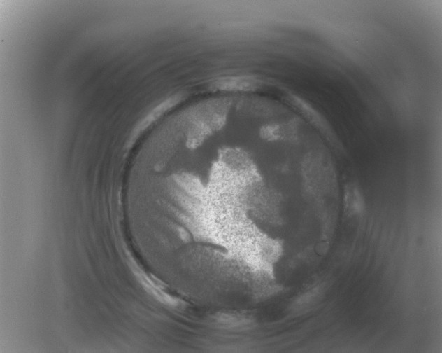 X0000082170725200701262359