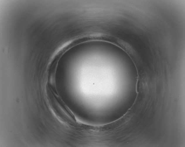 X0000082170728200701262359