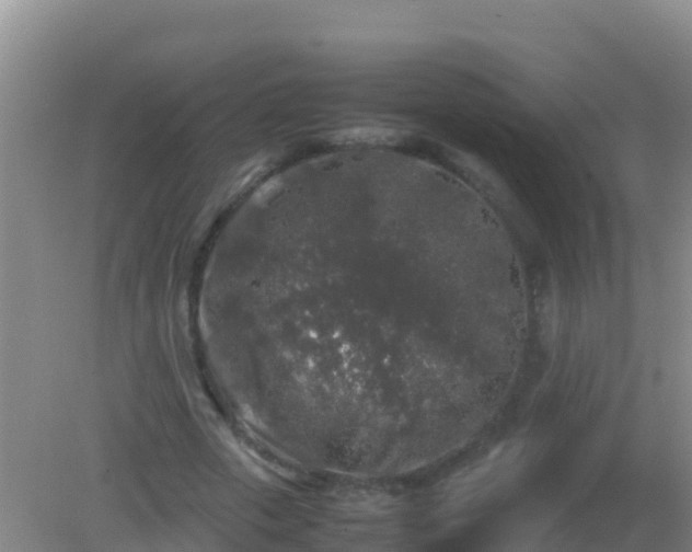 X0000082170729200701262359