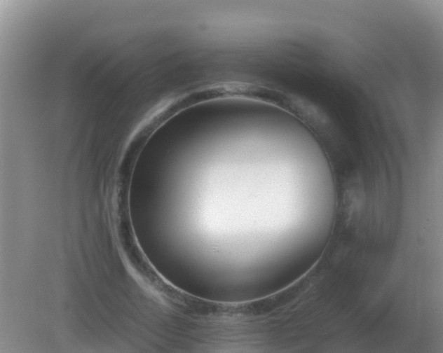 X0000082170730200701262359