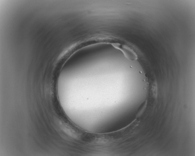 X0000082170732200701262359