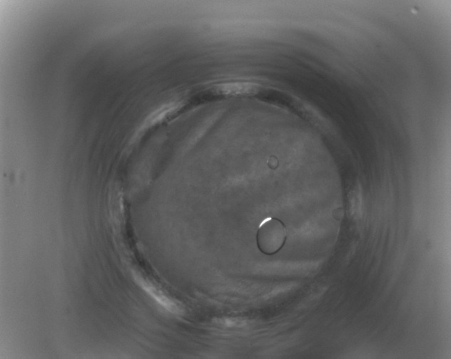 X0000082170733200701262359