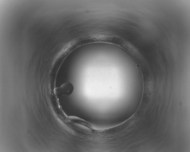 X0000082170734200701262359