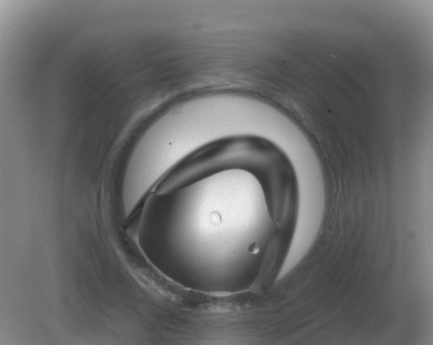 X0000082170736200701262359