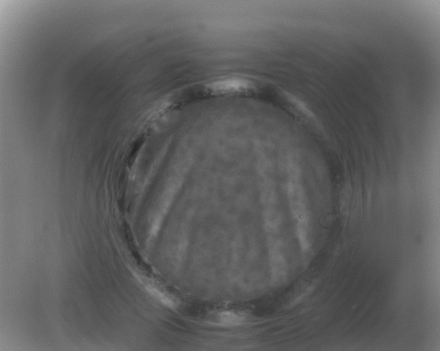 X0000082170737200701262359