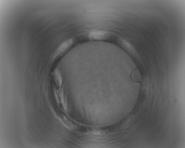 X0000082170738200701262359