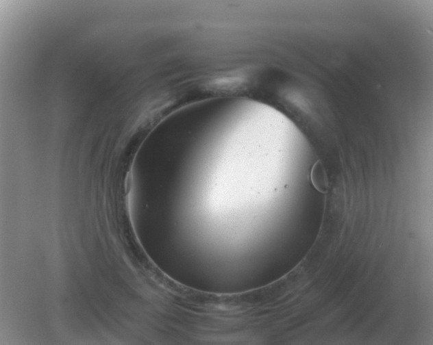 X0000082170739200701262359