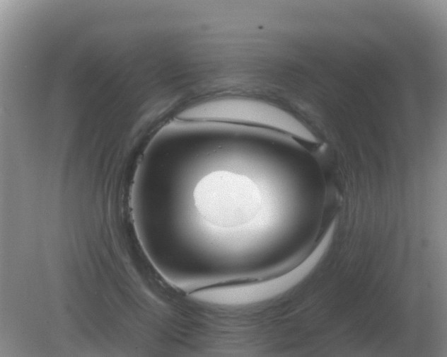 X0000082170740200701262359