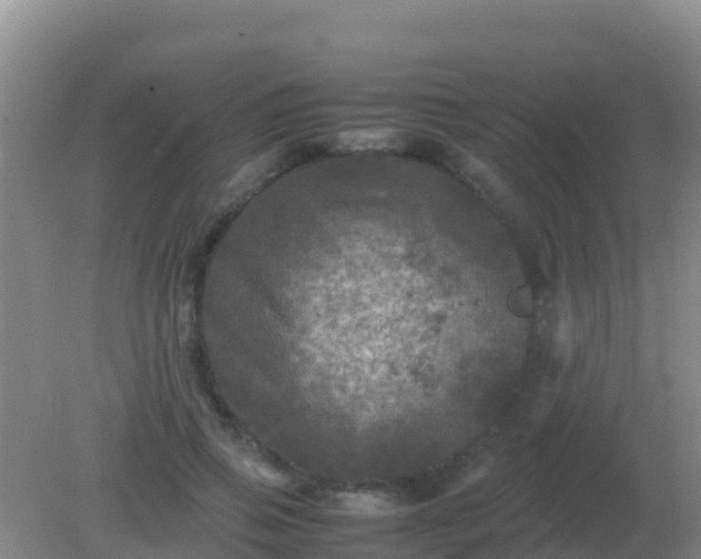 X0000082170741200701262359