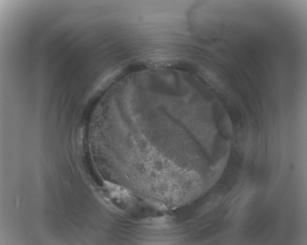 X0000082170742200701262359