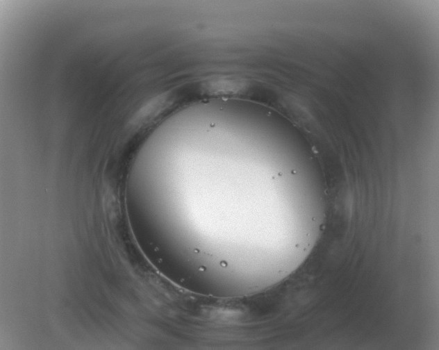 X0000082170743200701262359