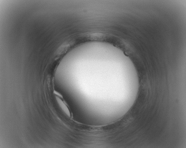 X0000082170744200701262359