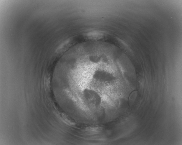 X0000082170745200701262359