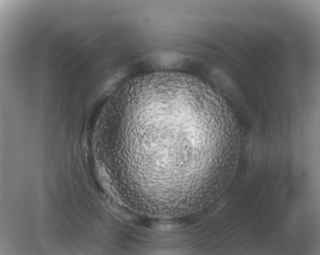 X0000082170746200701262359