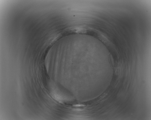 X0000082170748200701262359