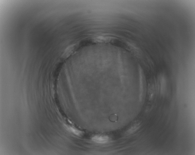 X0000082170749200701262359