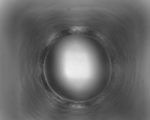 X0000082170751200701270000