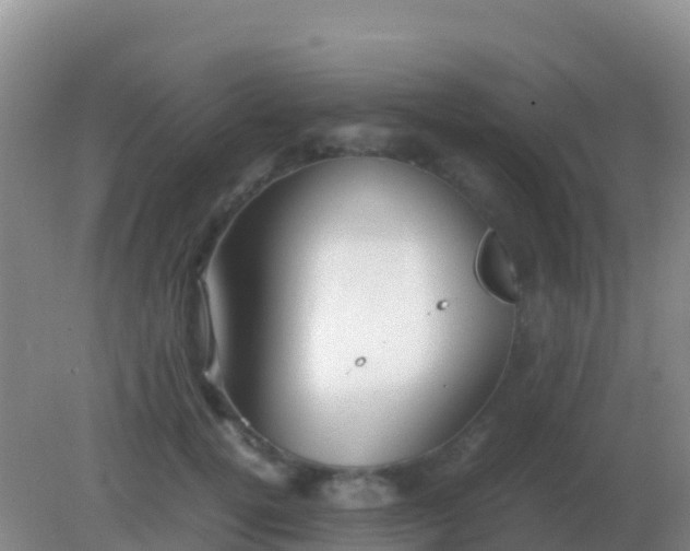 X0000082170752200701270000