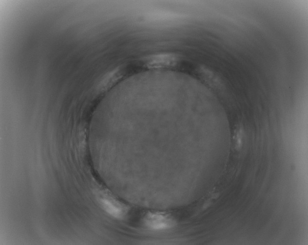 X0000082170753200701270000