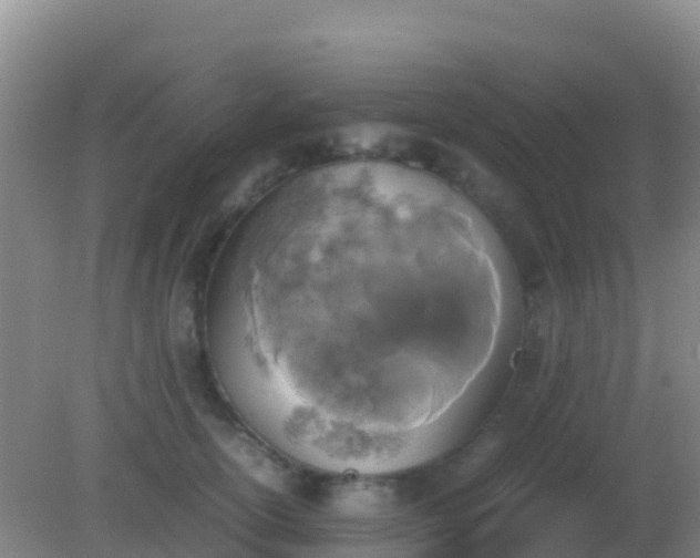 X0000082170754200701270000