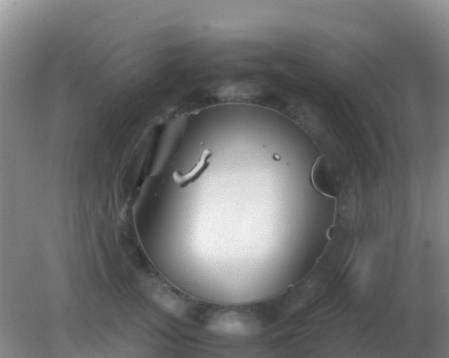 X0000082170755200701270000