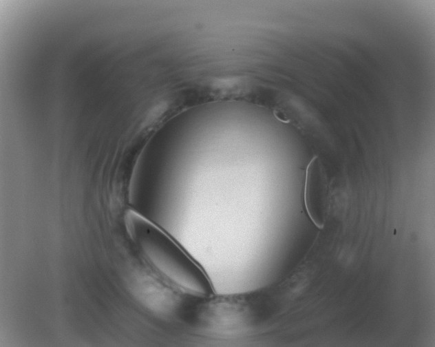 X0000082170756200701270000