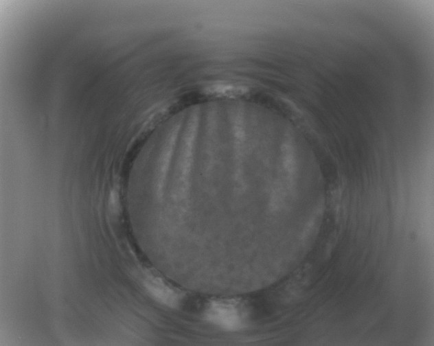 X0000082170757200701270000