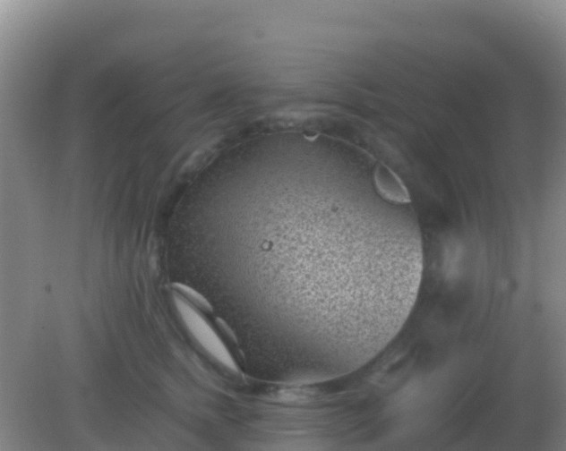 X0000082170758200701270000