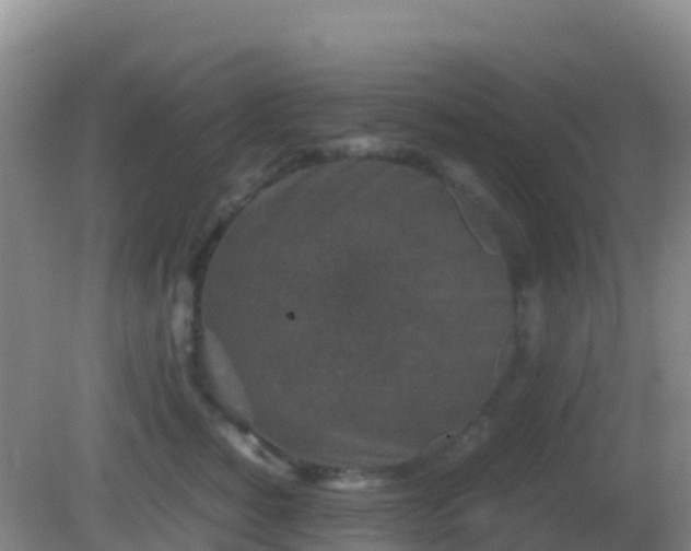 X0000082170760200701270000