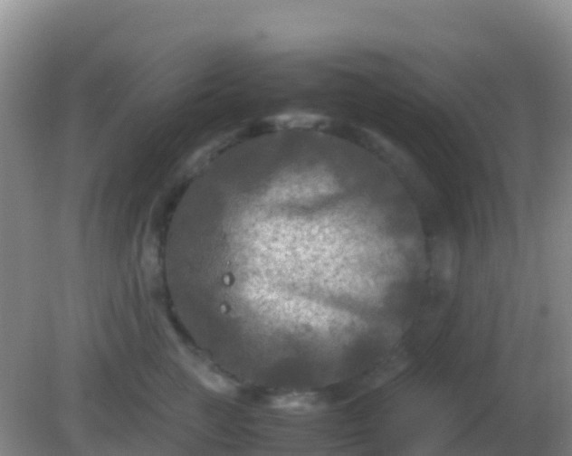 X0000082170761200701270000