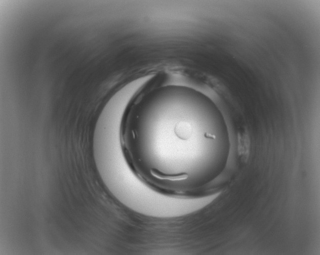 X0000082170762200701270000