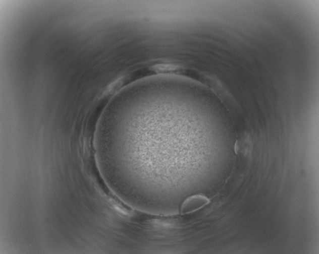 X0000082170763200701270000