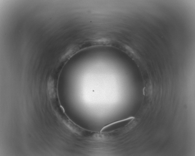 X0000082170764200701270000